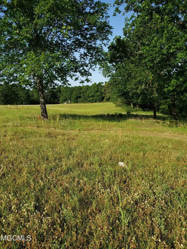 Lucedale, MS 39452,2107 Brushy Creek Road