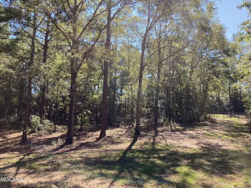 32145 Dogwood Lane, Poplarville, MS 39470