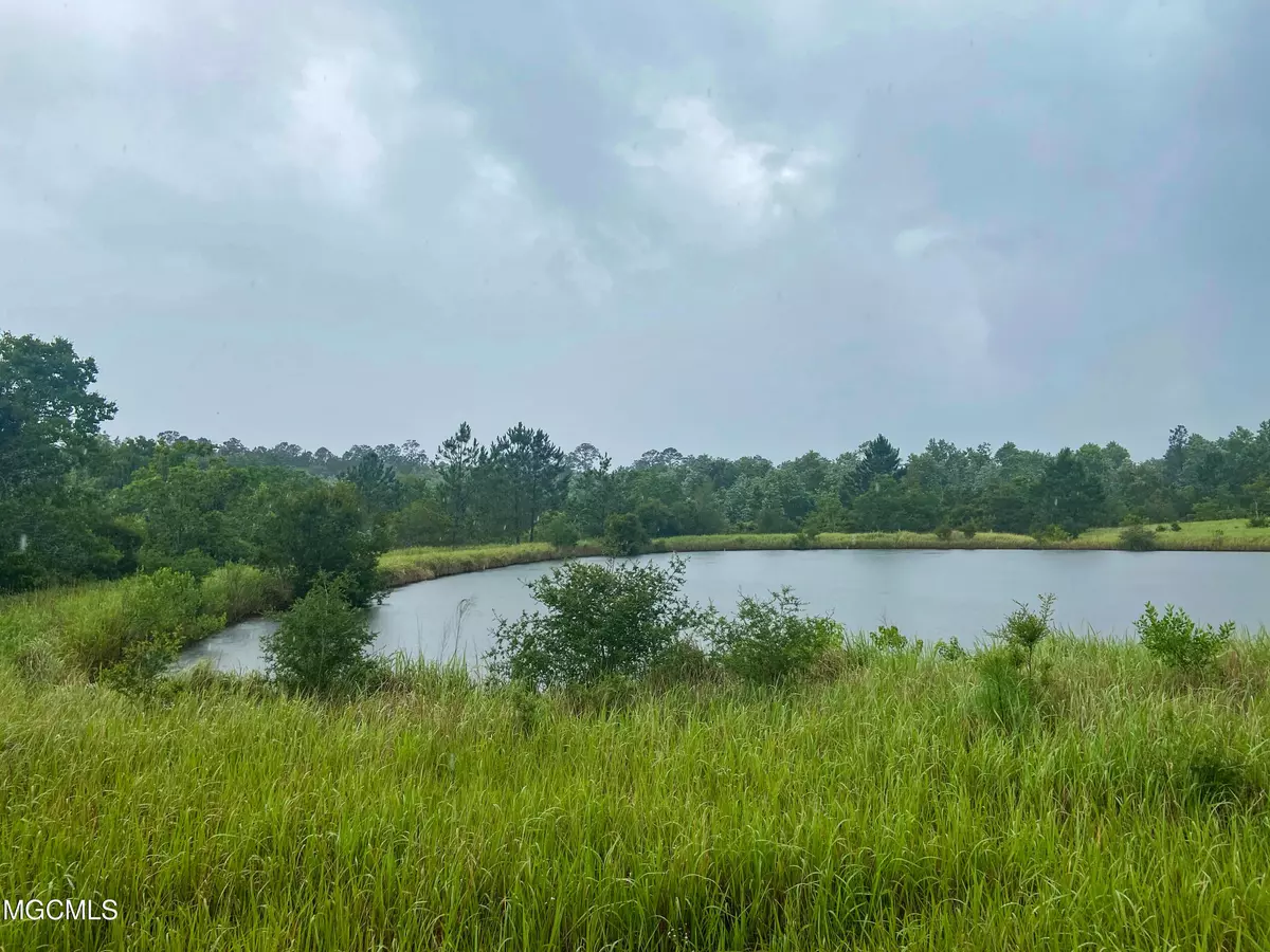 Lucedale, MS 39452,44 Gas Lane