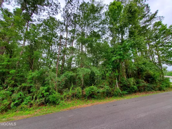 Kiln, MS 39556,11 Shawnee Street