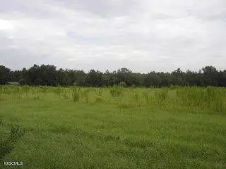 Picayune, MS 39466,0 Flat Top Rd