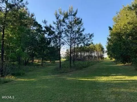 Carriere, MS 39426,0 Dale View Drive #Lot 80