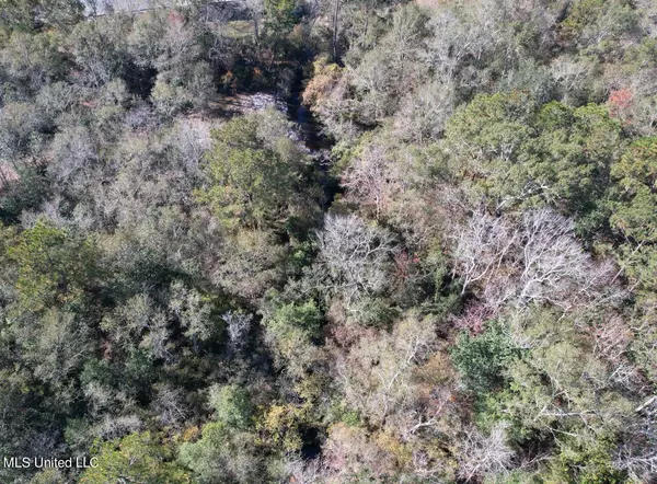 Picayune, MS 39466,20199 Lewis Lane