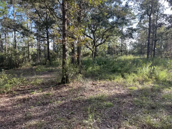 Biloxi, MS 39532,11352 Landing Court