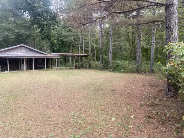 1201 Mosquito Bend Road, Michigan City, MS 38647