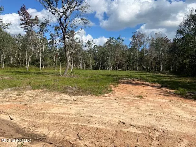 Long Beach, MS 39560,Penny Lane