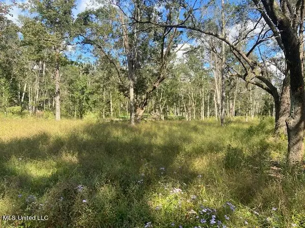 Penny Lane, Long Beach, MS 39560