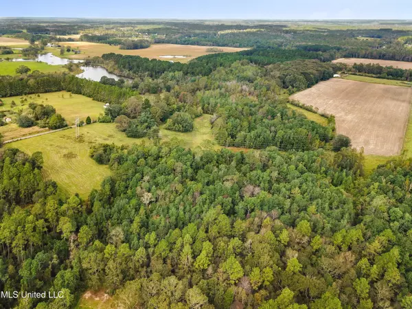 Lucedale, MS 39452,Wallace Creek Road