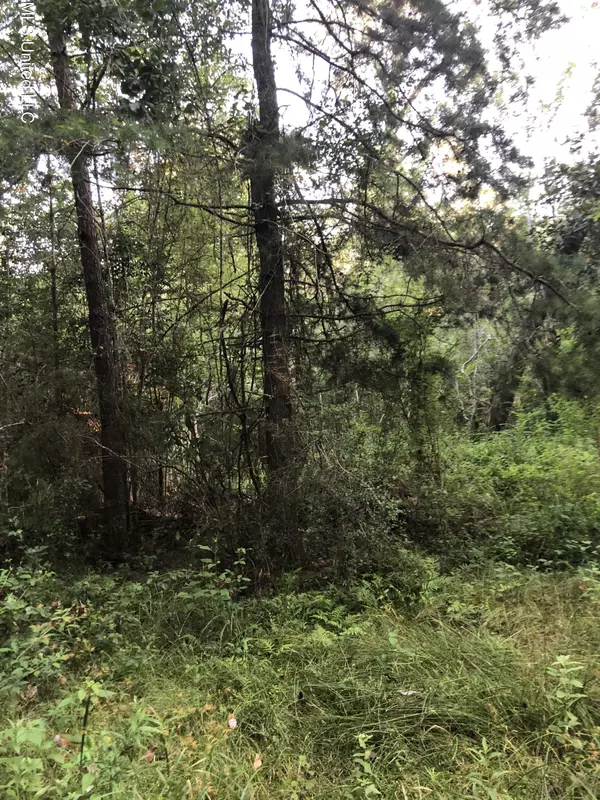 0 Peterson Road, Pass Christian, MS 39571