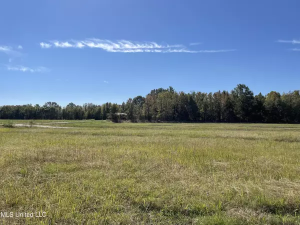 Flora, MS 39071,155 Hanks Trail