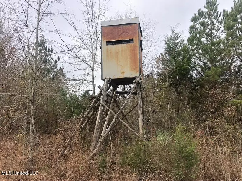 0 Old Hwy 51, Pickens, MS 39146