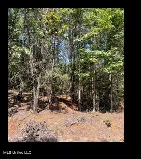 Kilmichael, MS 39747,Lower Milligan Springs Road