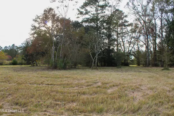 Lucedale, MS 39452,Misty Lane