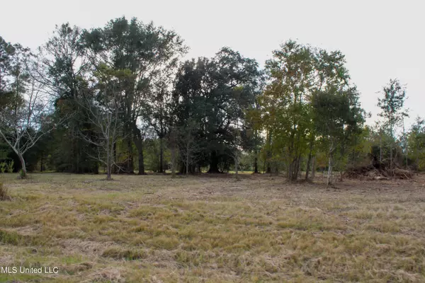 Lucedale, MS 39452,Misty Lane