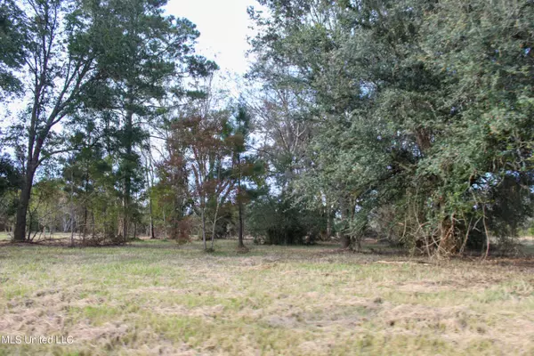 Lucedale, MS 39452,Misty Lane