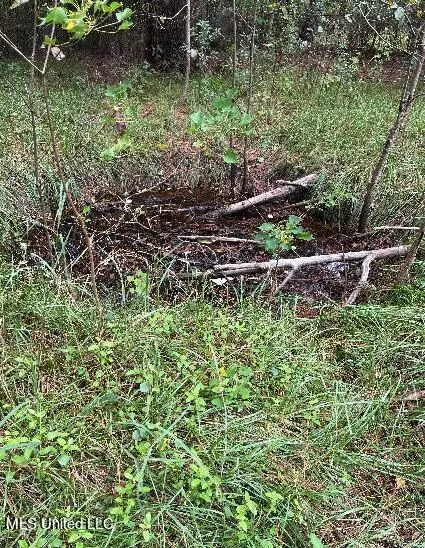 0 Mcdowell Road, Saucier, MS 39574