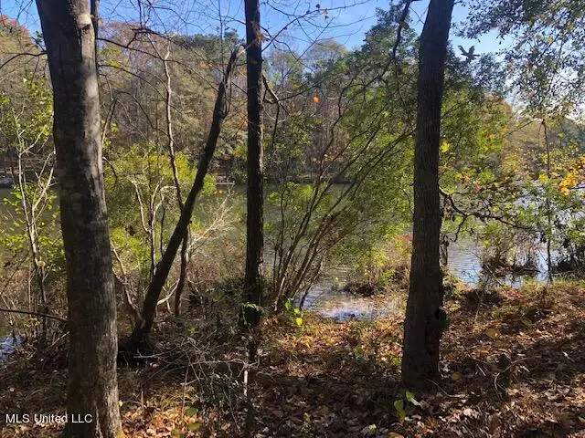 0 Jolisabi Road, Mendenhall, MS 39114