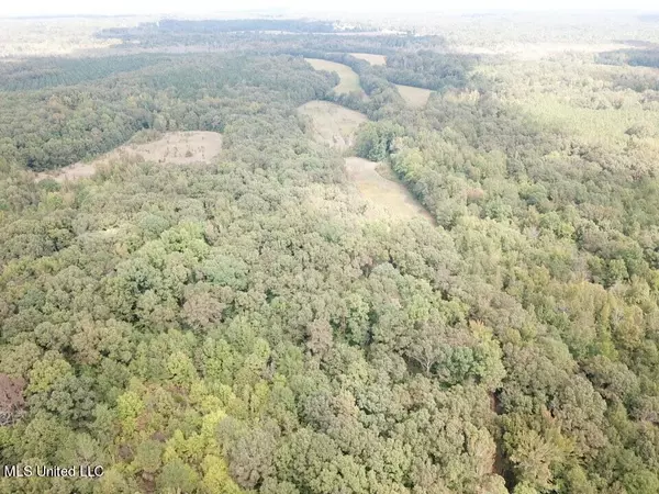 Red Banks, MS 38661,Moore Road