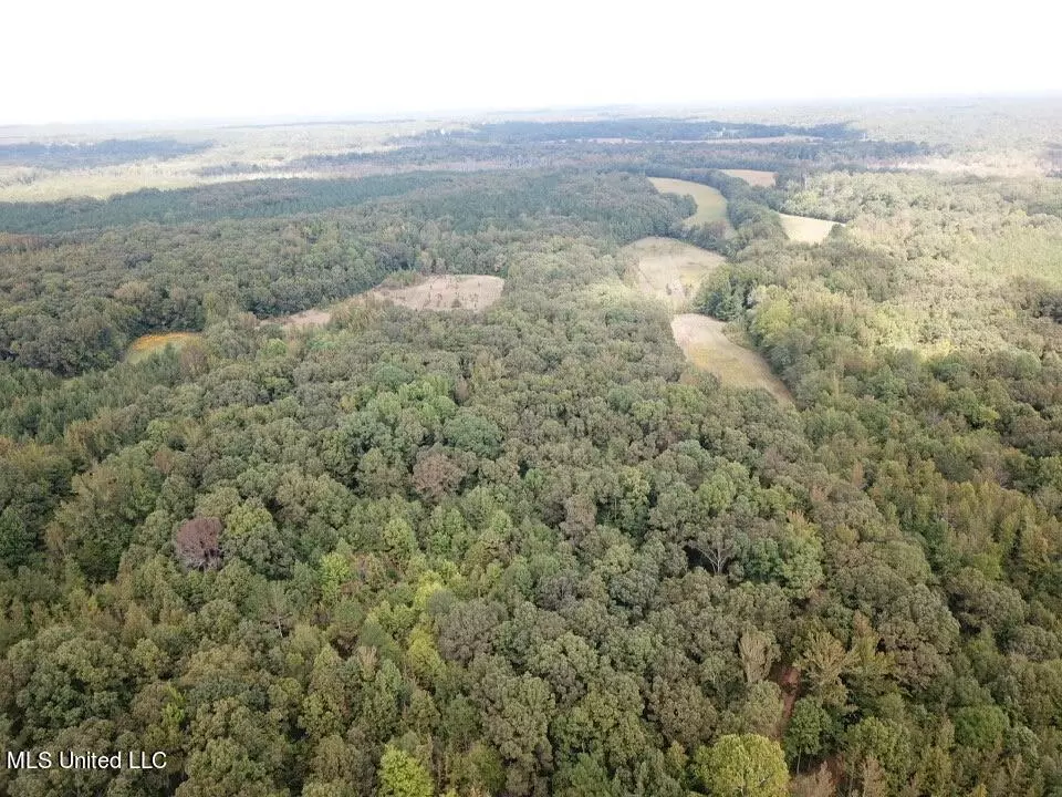 Red Banks, MS 38661,Moore Road