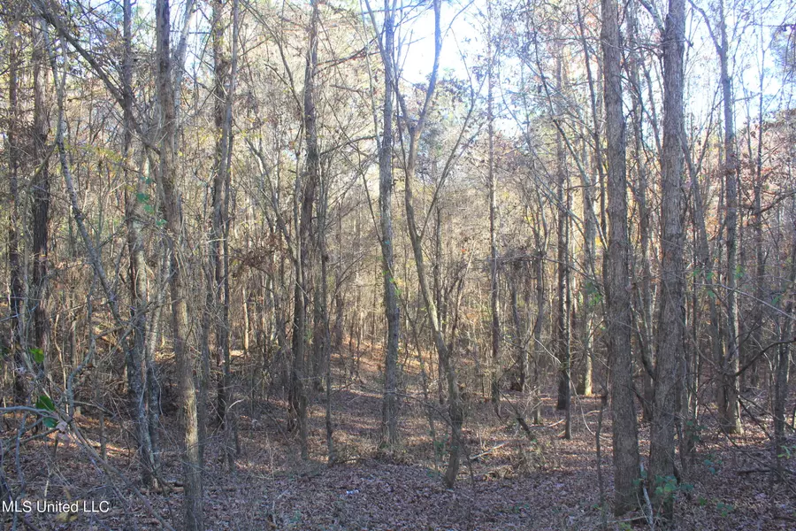 2801 Wilkins Chapel Road, Waterford, MS 38685