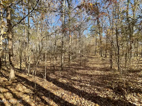 Westwind Drive, Brandon, MS 39047