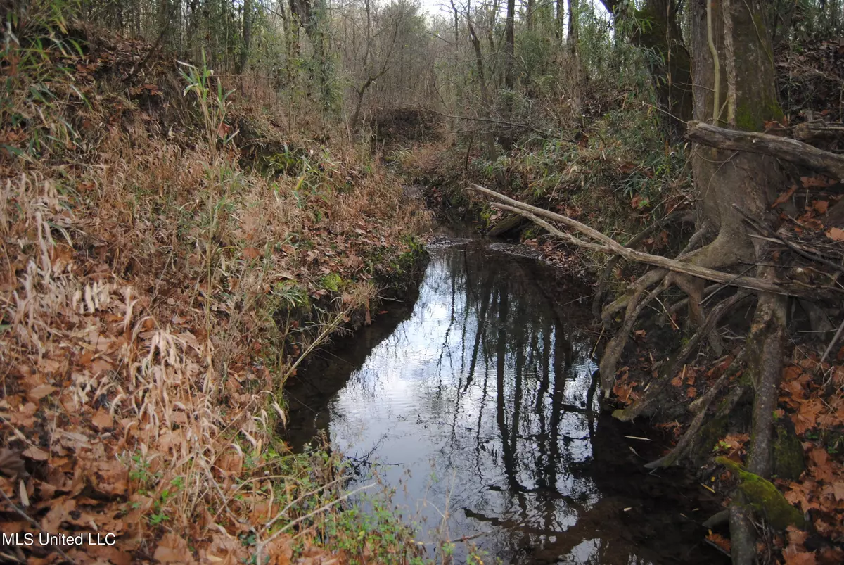 Yazoo City, MS 39194,Waller Road