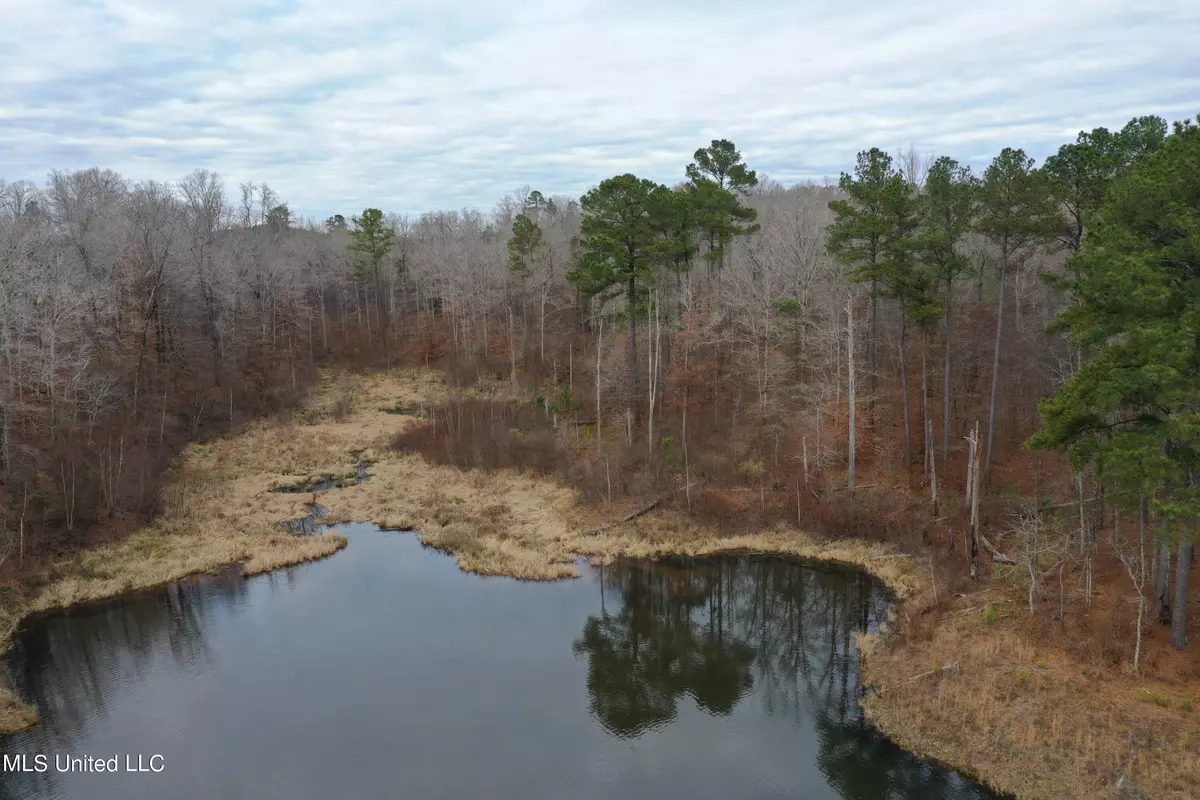 Hickory Flat, MS 38633,6500 Beck Springs Road