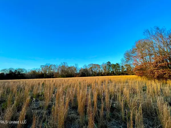 Benton, MS 39039,2 Hwy 16