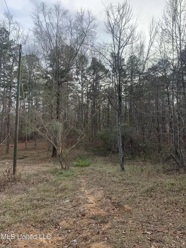 Brandon, MS 39042,510 Jared Drive