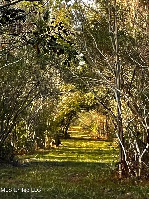 Old Lower Bay Rd., Bay Saint Louis, MS 39520