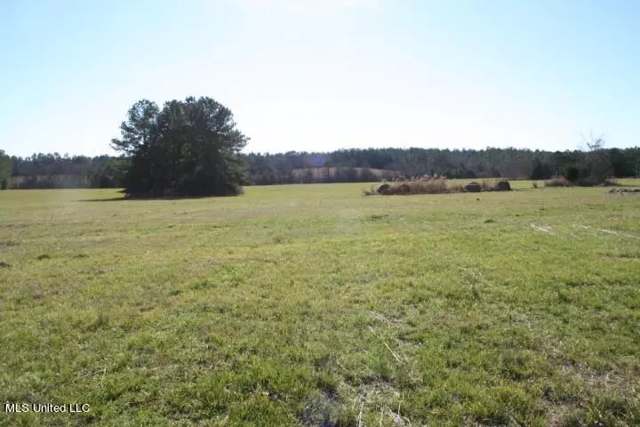 Rose Hill, MS 39356,3990 Ms-18
