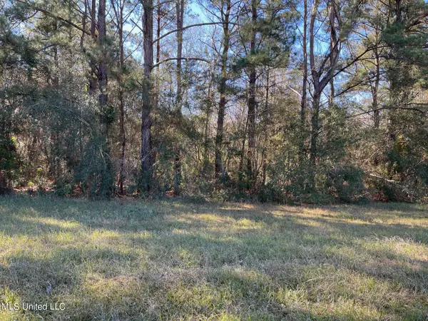 Perkinston, MS 39573,Lake Cypress Drive