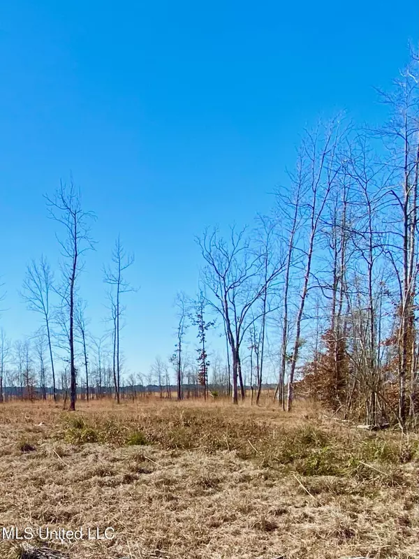 Brandon, MS 39047,Lot 28 Honeysuckle Trail