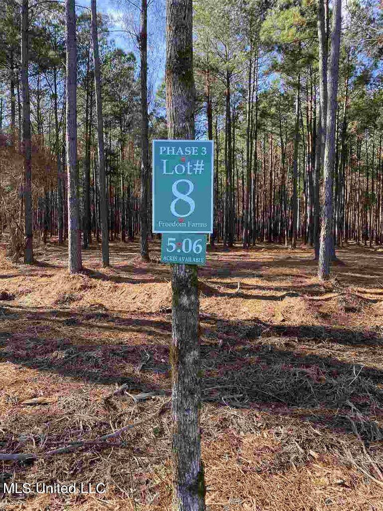 585 Stump Ridge Road, Brandon, MS 39047