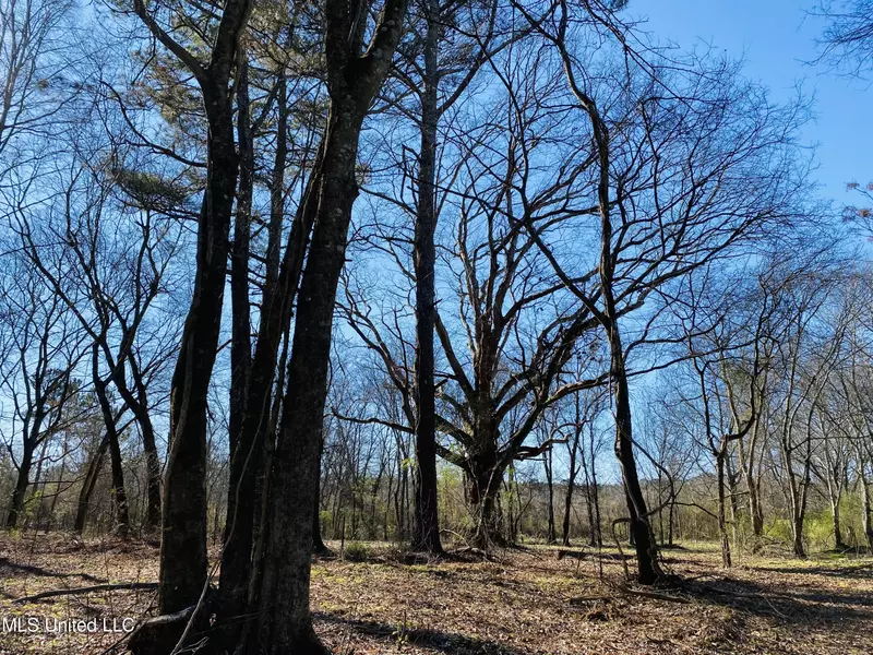 Irby Road, Morton, MS 39117