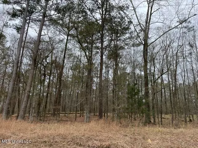 Forest, MS 39074,Highway 501 South