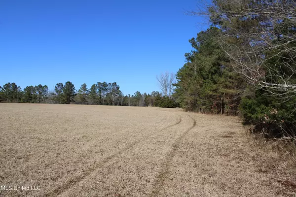 Mantee, MS 39751,Savannah Lake Road Road