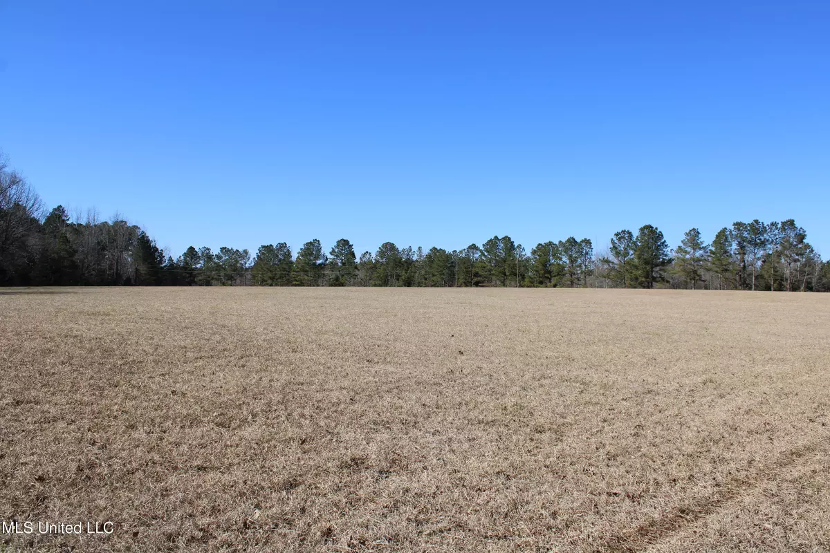 Mantee, MS 39751,Savannah Lake Road Road