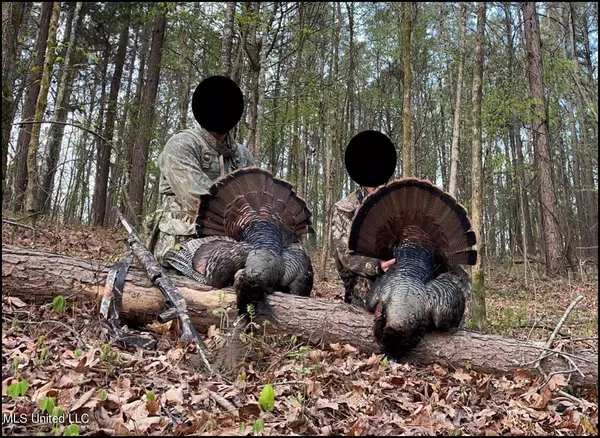 Cascilla, MS 38920,Smith Road