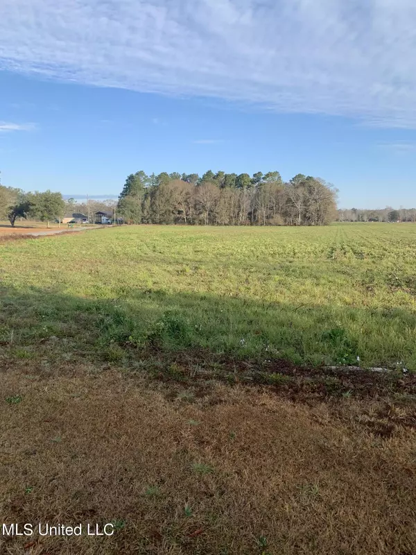 Lucedale, MS 39452,Yellow Bluff Road