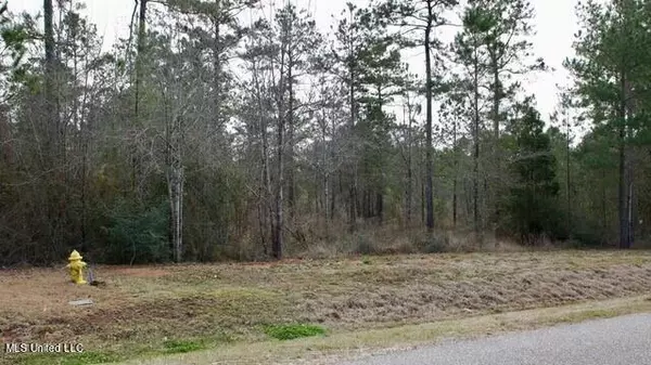 Saucier, MS 39574,Bobcat Trl