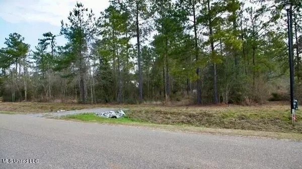 Saucier, MS 39574,Bobcat Trl