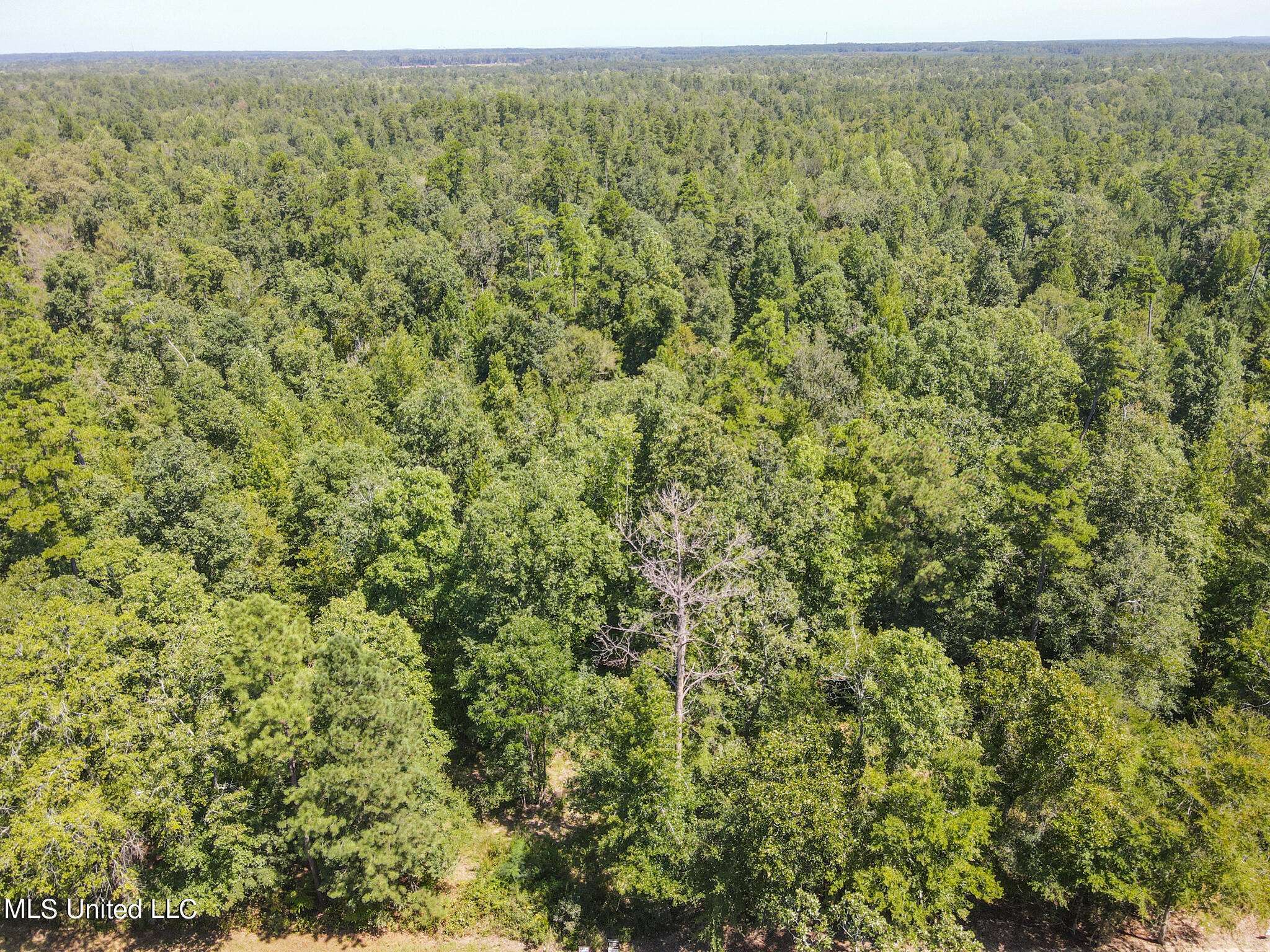 Brandon, MS 39042,0 Shiloh Road
