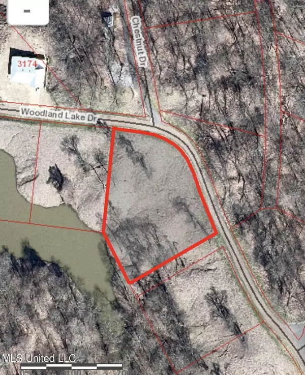 250 Woodland Lake Drive, Hernando, MS 38632