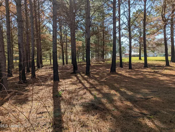 Forest, MS 39074,4642 Hwy 35 N