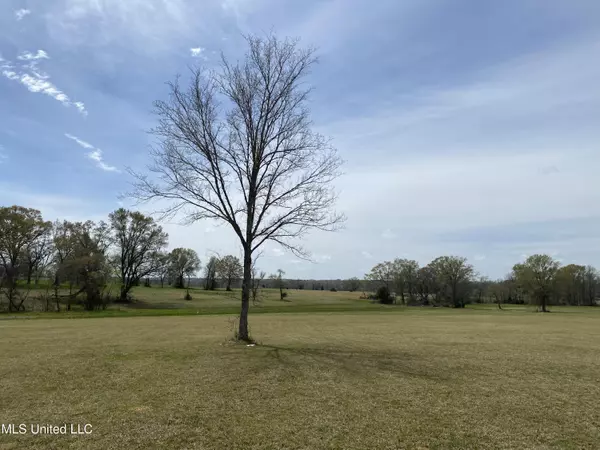 Flora, MS 39071,Sagamore Cove