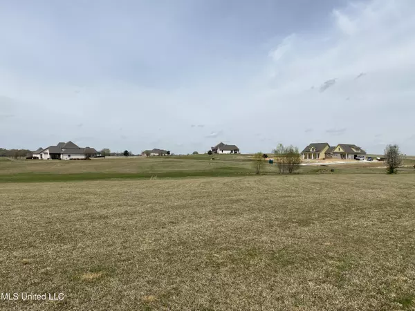 Flora, MS 39071,Sagamore Cove