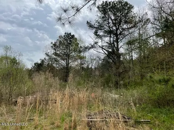 Forest, MS 39074,Bounds Road