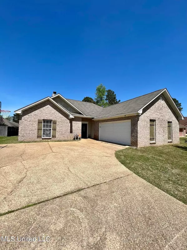 Brandon, MS 39047,509 Suffolk Cove