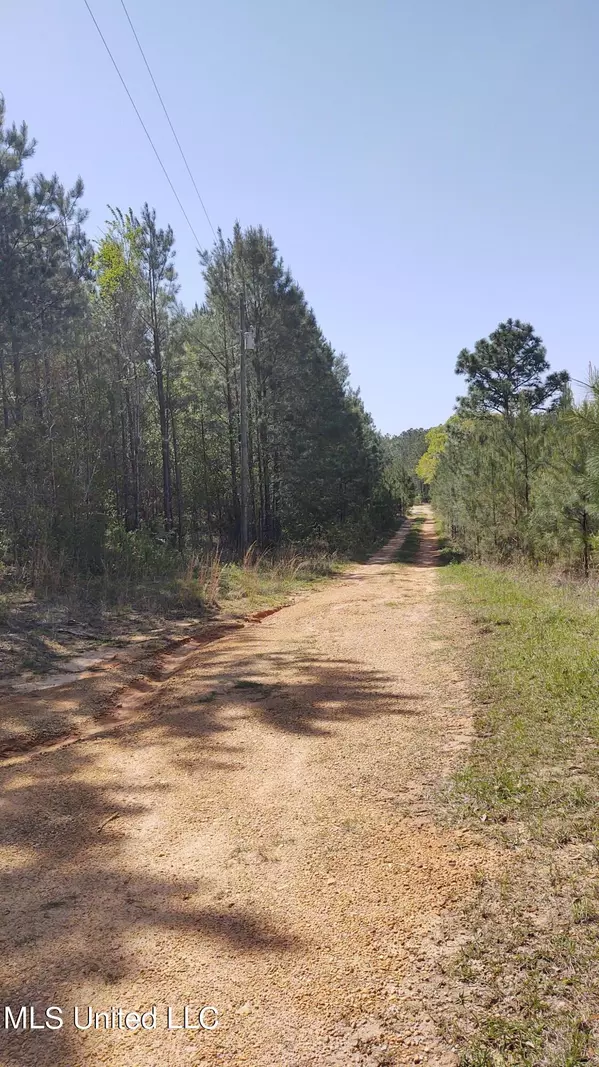 H Burge Road, Poplarville, MS 39470